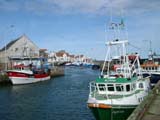 Pittenweem Harbour